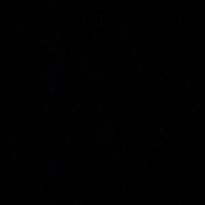 Meet your Posher, Lacey